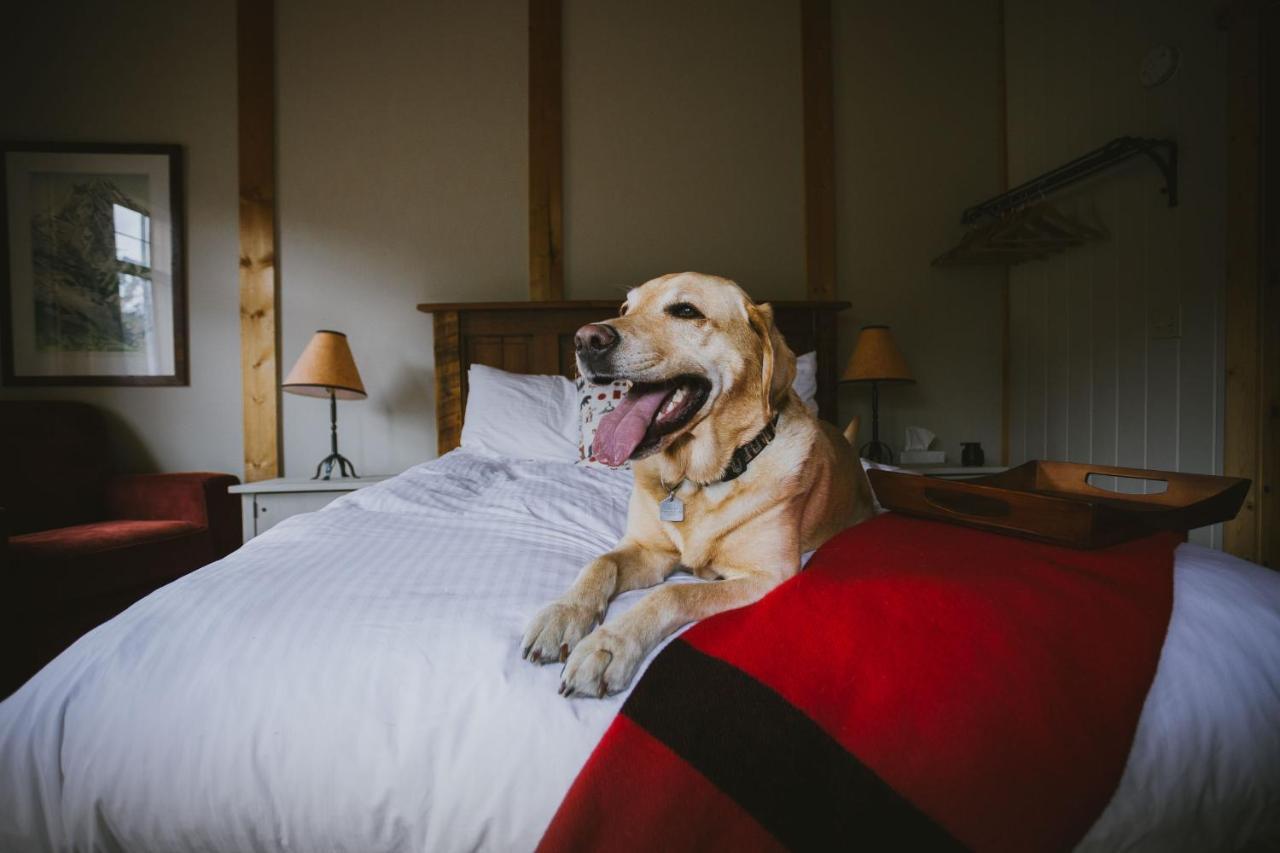 Mount Engadine Lodge Kananaskis Екстериор снимка